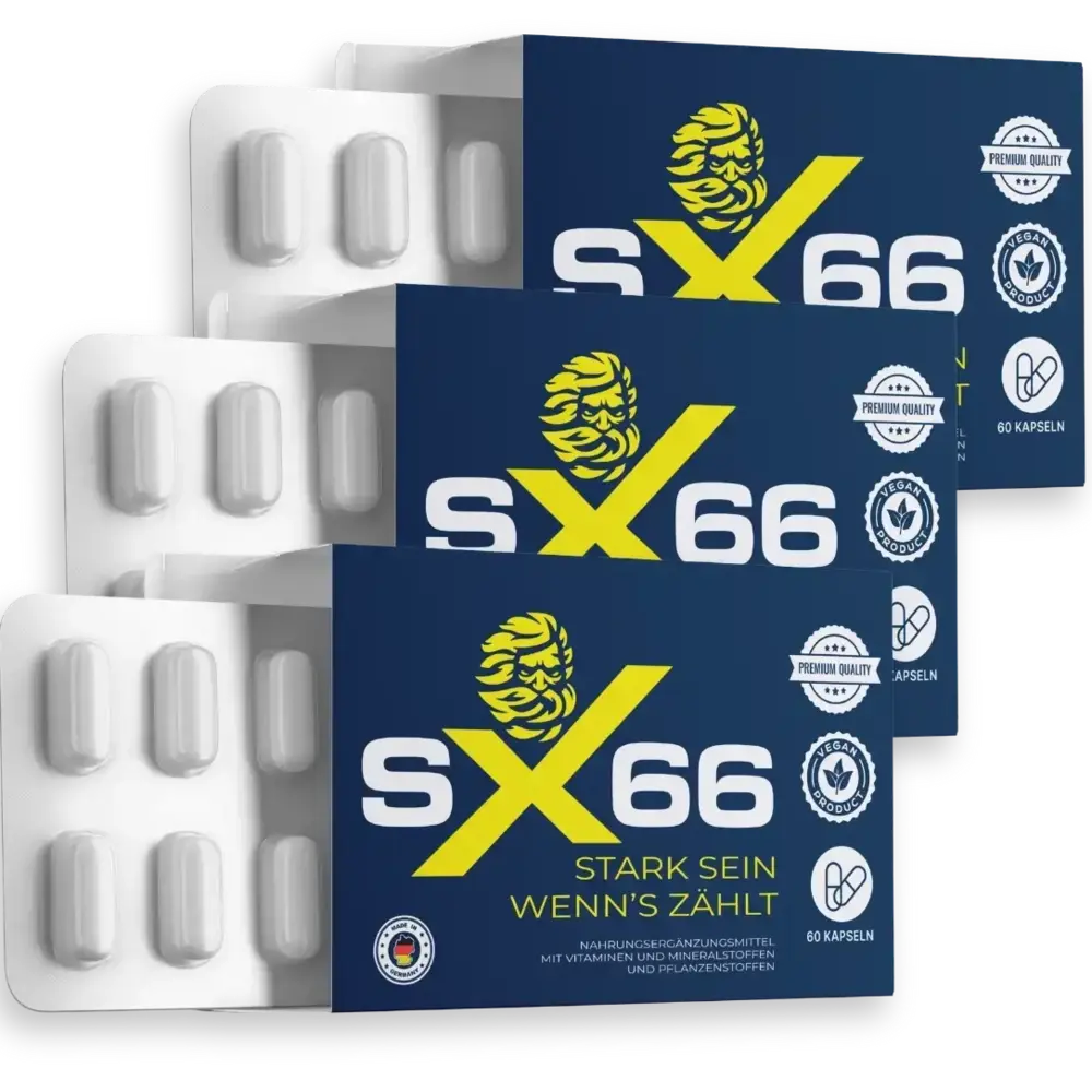 SX66 Prodotto